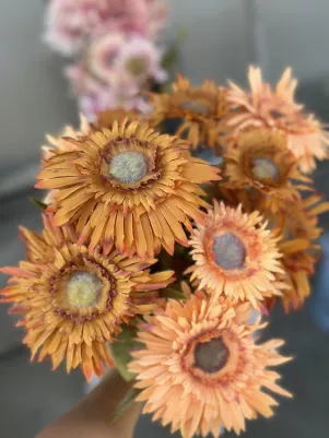Kytica veľká astra, textilný kvet, TOP kvalita, 12x stonka, 47cm, hnedá 