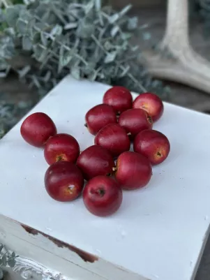 Dekoračné jablká, tvrdený polystyrén, nie sú na jedenie!!, balenie 12ks, 3,5cm, červené