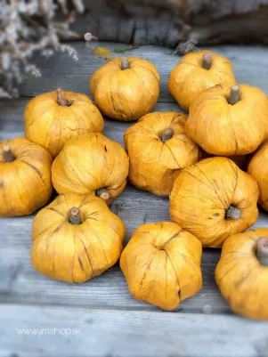 Natur tekvičky (sušina) cena za 1 ks cca 6 cm 